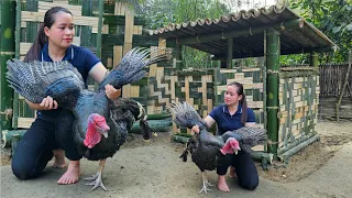 Building Bamboo House For Turkey - Process From Start To Finish - Lý Thị Ca