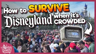 11 Tips to Survive CROWDS at Disneyland in 2023