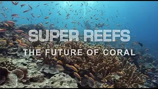 Super Reefs: The Future of Corals