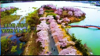 연상의 여인/윤희상)~코텐