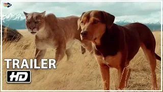 A DOG’S WAY HOME International Trailer #1 (2019) HD | Mixfinity International