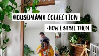 Houseplant Collection Tour + How I style Indoor Plants! | Baby Nursery Plant & Plant Pot Tour!