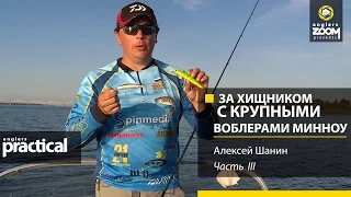 За хищником с крупными воблерами - минноу. Алексей Шанин. Часть 3. Anglers Practiсal