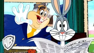 Looney Tunes em Português | Brasil | Wonderful Bugs ft. Walter Bunny | WB Kids