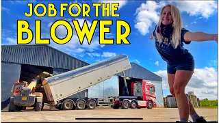 Job for the blower | we come up with a solution to get the job done