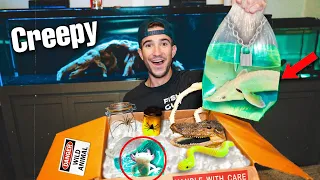 WE BOUGHT THE CREEPIEST MYSTERY BOX... (Live Fish Inside)