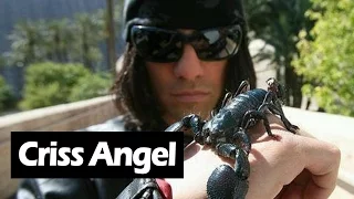 Criss Angel Believe Do Your Stuffed Animals Come Alive !!