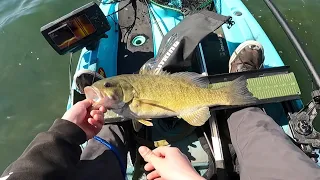 Spring Smallies on Lake St. Clair! Muscamoot Bay Prespawn Smallmouth