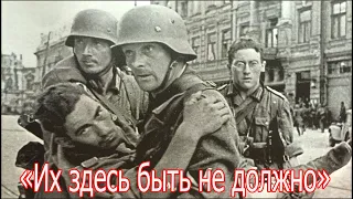 «Их здесь быть не должно». Военные Истории Великой Отечественной Войны .