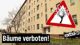 Realer Irrsinn: Keine Bäume wegen Denkmalschutz | extra 3 | NDR