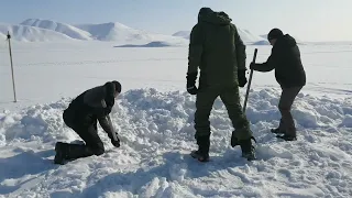 Крабалка в Эгвекиноте. чукотка 2023, Озерный