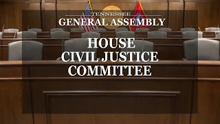 House Civil Justice Committee - March 10, 2021 - House Hearing Room 3