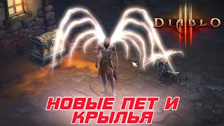 Diablo 3 - В игру добавили новые крылья и пета за предзаказ Diablo 4