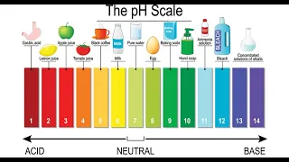 Food Classification on the Basis of pH