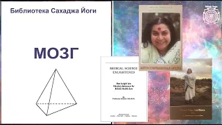 "Как устроен наш МОЗГ?" Библиотека Сахаджа Йоги.