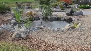 How to build a small fish pond