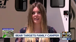 Bear targets family's camper