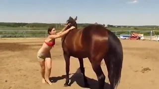 Лошадь проявила сочувствие к девушке, которая не смогла ее оседлать