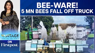 Canada: Five Million Bees Escape as Hives Fall Off Truck | Vantage with Palki Sharma