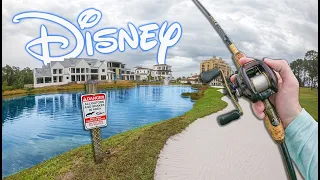 Sneaking Into Disney Worlds Stocked Ponds And Fishing