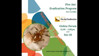 Fire Ant Eradication Program _QWALC Online Forum