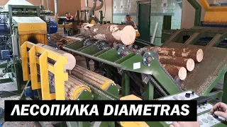 Линия лесопиления Diametras - SAWMILL LINE (video 1)