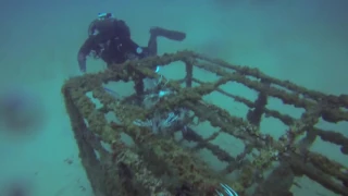 Pensacola Lionfish hunting -- Black Friday 2016