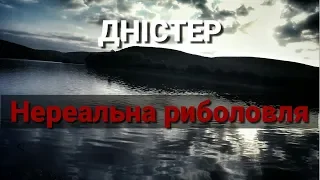 Нереальна риболовля на Дністрі. Розвели на рибу.