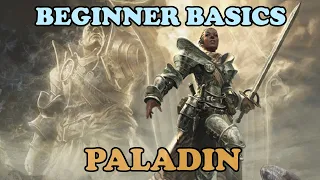 DDO Beginner Basics: The Paladin Class