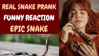 REAL SNAKE PRANK EPIC SNAKE PRANK IN PAKISTAN   FUNNY REACTION   STILL FUN SNAKE PRANK