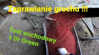 Moja metoda na zaprawianie grochu !!! Test wschodowy z Dr Green Prime. vlog32