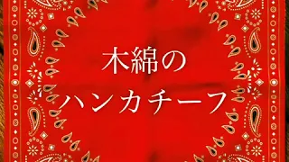 木綿のハンカチーフ/太田裕美　covered by 岡菜々子 age11