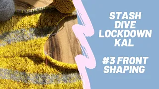 Stash Dive Lockdown KAL 3: Neck Shaping