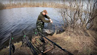 Весняний хід карася на Дніпрі !!! Розривна рибалка!!!