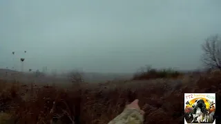 Охота в Узбекистане. на фазана