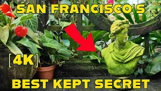 [4K] Solo Exploring A Secret Tropical Paradise Hidden in San Francisco California