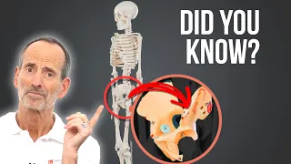 Avoid Hip Surgery - Facts About the Hip