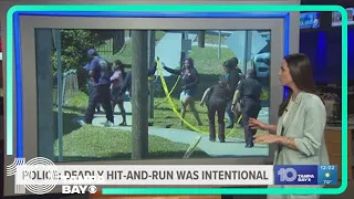 St. Pete police say deadly-hit-and run was intentional