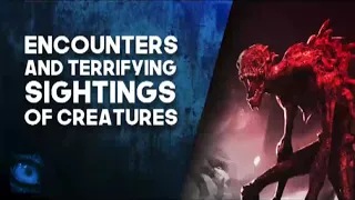 19 CREATURE AND CRYPTID SIGHTINGS & ENCOUNTERS - What Lurks Above