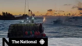 Million-dollar fight in Canada's richest lobster fishing area