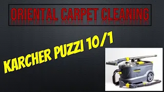 Oriental Carpet Cleaning Karcher Puzzi 10/1