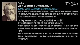 Brahms: Violin Concerto in D Major, Op.77 - Ⅰ. Allegro non troppo_'서경수의 열린 음악실'