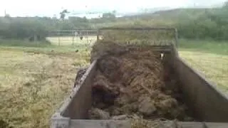 Ferguson manure spreader