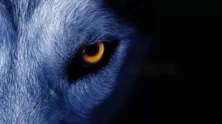 David Guetta ft. Sia - She Wolf Instrumental