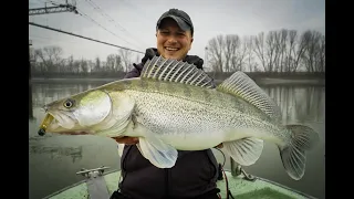 Zanderangeln in Italien - Brutale Zander im Wallerfluss!