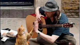 Meet Bob,A street cat who helped a homeless man change his life