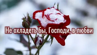 Не охладеть бы, Господи, в любви | христианская песня