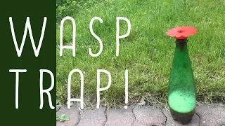 Wasp Trap! (bee friendly)