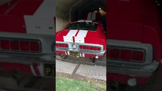 A rare barn find 1968 Shelby GT-350 found