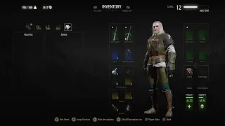 Witcher 3 Deathmarch guide #57: A good build for level 12